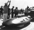 The Punpkin Seed - 1961